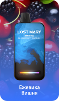 Одноразовый испаритель LOST MARY BM Ежевика Вишня