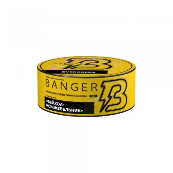 Табак для кальяна Banger Фейхоа Можжевельник (25 г)