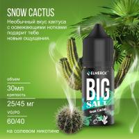 Жидкость Big Salt Snow Cactus (20 мг/30 мл)