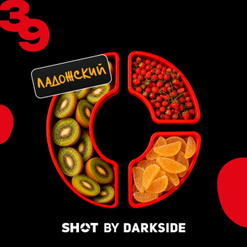 Табак для кальяна Dark Side Shot #39 Киви Земляника Мармелад (25 г)