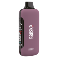 Одноразовый испаритель BRUSKO Select Черника Арбуз