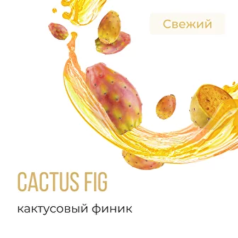 Табак для кальяна Element Вода Кактусовый Финик (25 г)