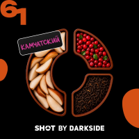 Табак для кальяна Dark Side Shot #61 Груша Клюква Чай (25 г)