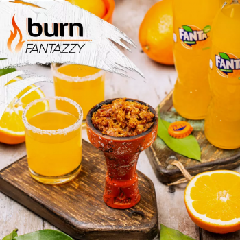 Табак для кальяна Burn Fantazzy (25 г)