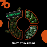 Табак для кальяна Dark Side Shot #70 Хвоя Фейхоа Эвкалипт (25 г)