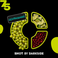 Табак для кальяна Dark Side Shot #75 Виноград Лайм Клюква (25 г)