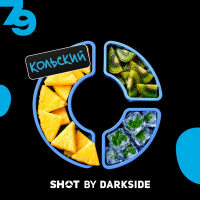 Табак для кальяна Dark Side Shot #79 Ананас Киви Ментол (25 г)