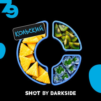 Табак для кальяна Dark Side Shot #79 Ананас Киви Ментол (25 г)