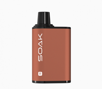 Одноразовый испаритель SOAK R Крыжовник