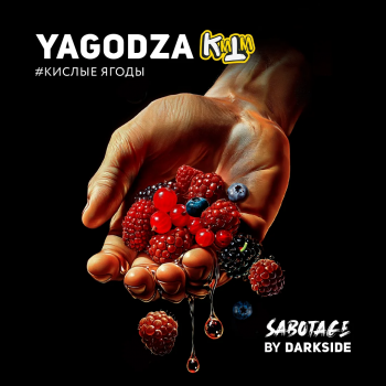Табак для кальяна Dark Side SABOTAGE YAGODZA (30 г)