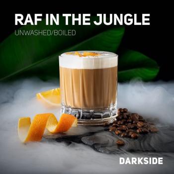 Табак для кальяна Dark Side Core Raf In The Jungle (25 г)