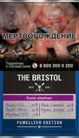Табак трубочный The Bristol Exotic American (40 г)