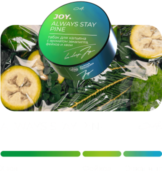 Табак для кальяна JOY Always Stay Pine (25 г)