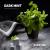 Табак для кальяна Dark Side Core Dark Mint (25 г)