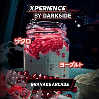 Табак для кальяна Dark Side XPERIENCE GRANADE ARCADE (25 г)