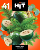 Табак для кальяна HiT Фейхоа, Хвоя, Эвкалипт (30 г)