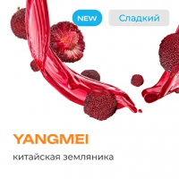 Табак для кальяна Element Вода Китайская Земляника (25 г)