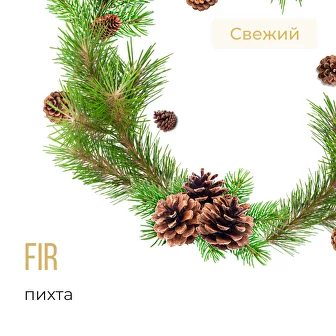 Табак для кальяна Element Вода Пихта (25 г)