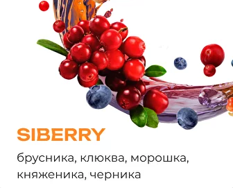 Табак для кальяна Element Вода Сайберри (25 г)