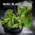 Табак для кальяна Dark Side Core Basil Blast (25 г)
