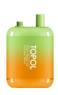 Одноразовый испаритель TOPOL GEMINI BAR Strong Mohito & Spiced Ice Mango