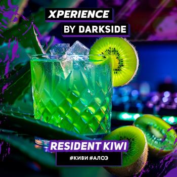 Табак для кальяна Dark Side XPERIENCE RESIDENT KIWI (25 г)