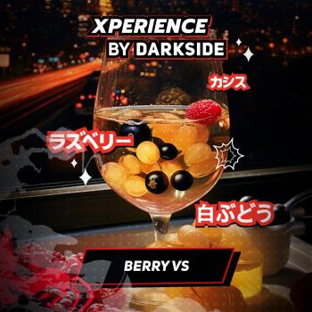 Табак для кальяна Dark Side XPERIENCE BERRY VS (25 г)