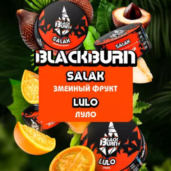 Табак для кальяна Black Burn Salak (25 г)