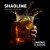Табак для кальяна Dark Side SABOTAGE SHAOLIME (30 г)