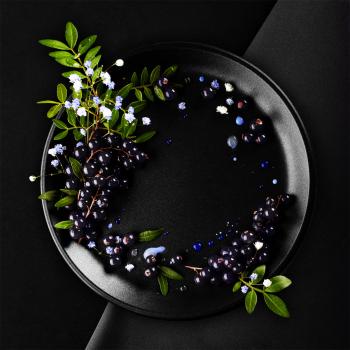 Табак для кальяна Black Burn Currant Shock (25 г)