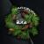 Табак для кальяна Black Burn Elka (25 г)