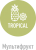 Табак сигаретный American Blend Tropical (40 г)