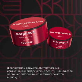 Табак для кальяна morpheus Тропик (25 г)