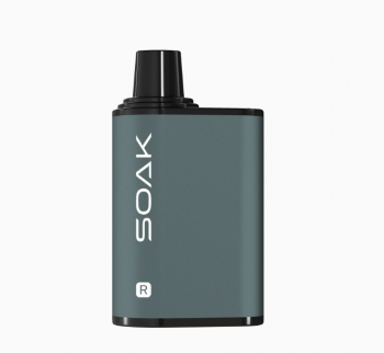 Одноразовый испаритель SOAK R Таёжные Ягоды