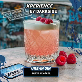 Табак для кальяна Dark Side XPERIENCE URBAN GIN (25 г)