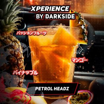 Табак для кальяна Dark Side XPERIENCE PETROL HEADZ (25 г)